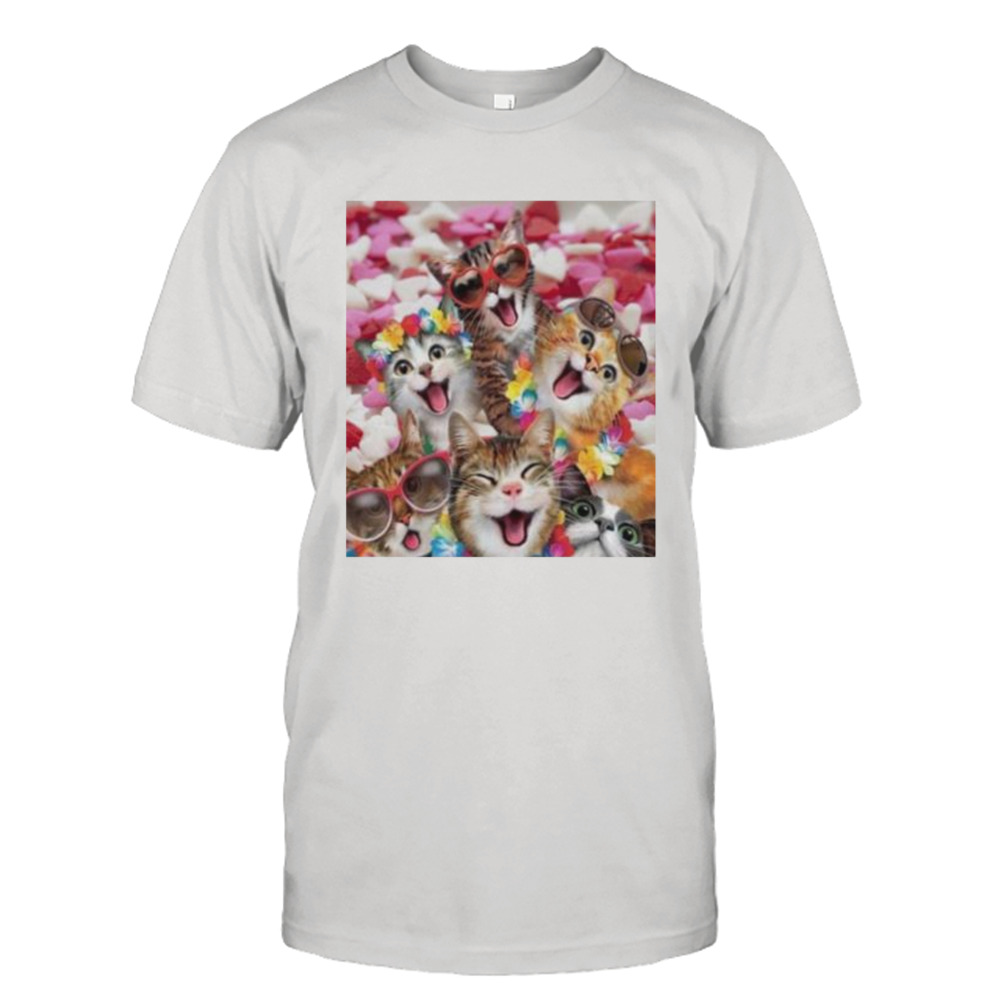 cat kitten shirt