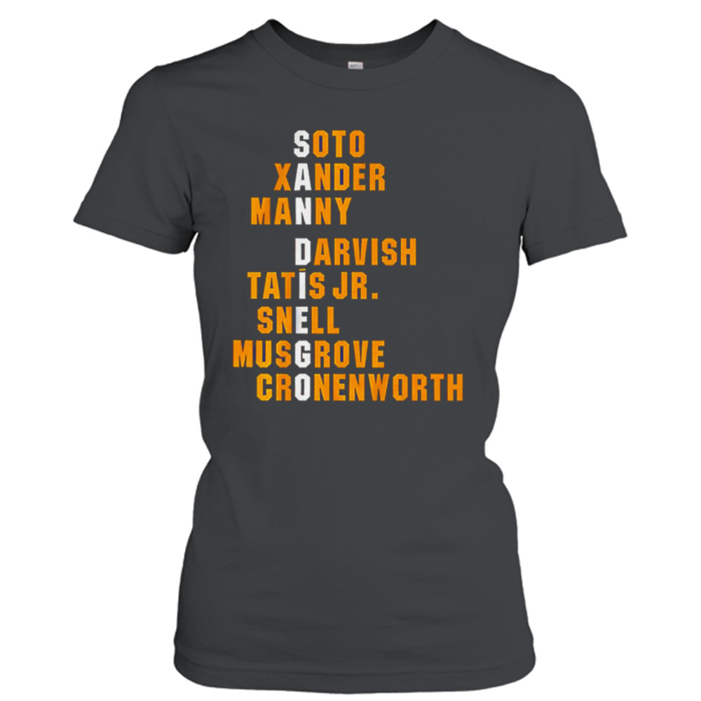 Ladies T-Shirt