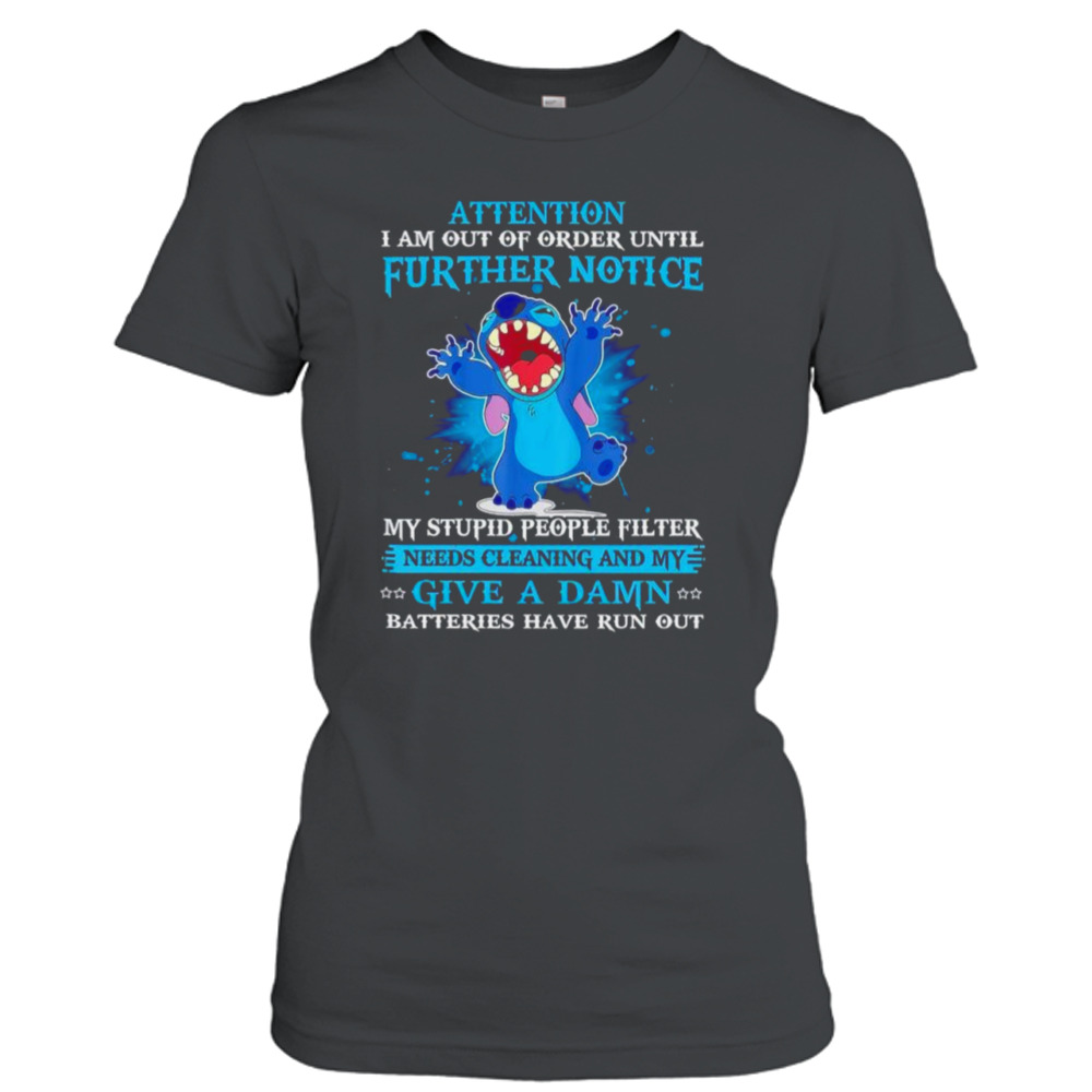 Ladies T-Shirt