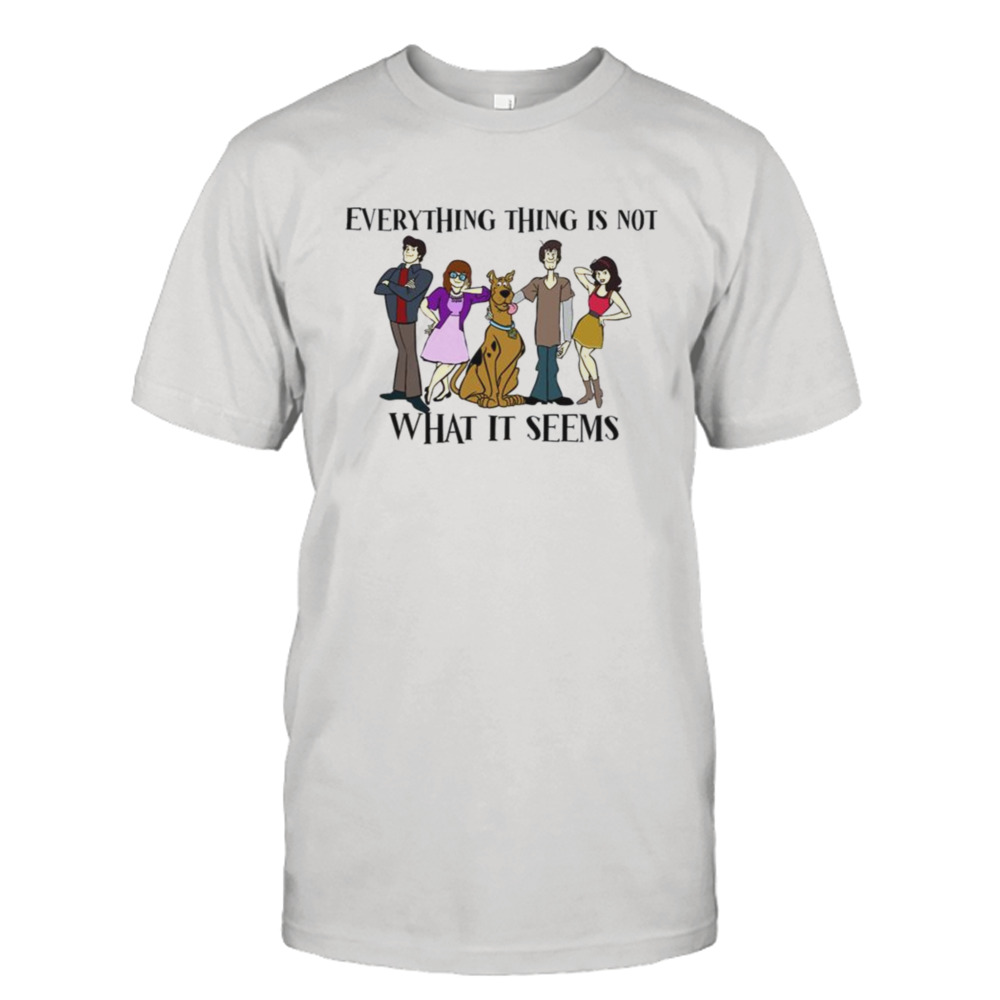 Everything Is Not What It Seems Wizards Of Waverly Place shirt
