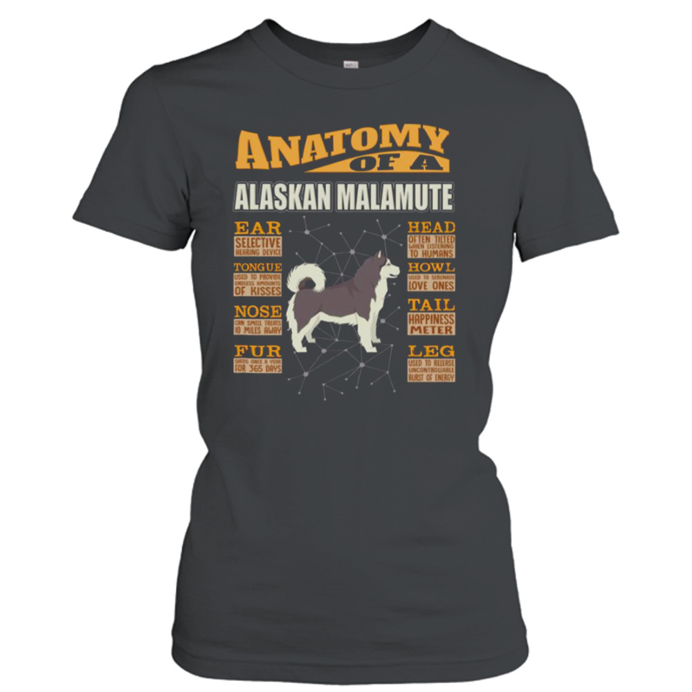 Ladies T-Shirt