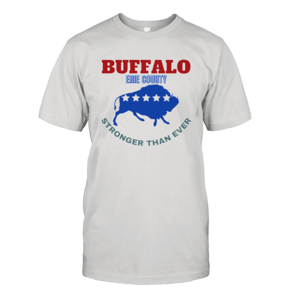 Troubleart Buffalo Usa Blizzard Of The Century shirt