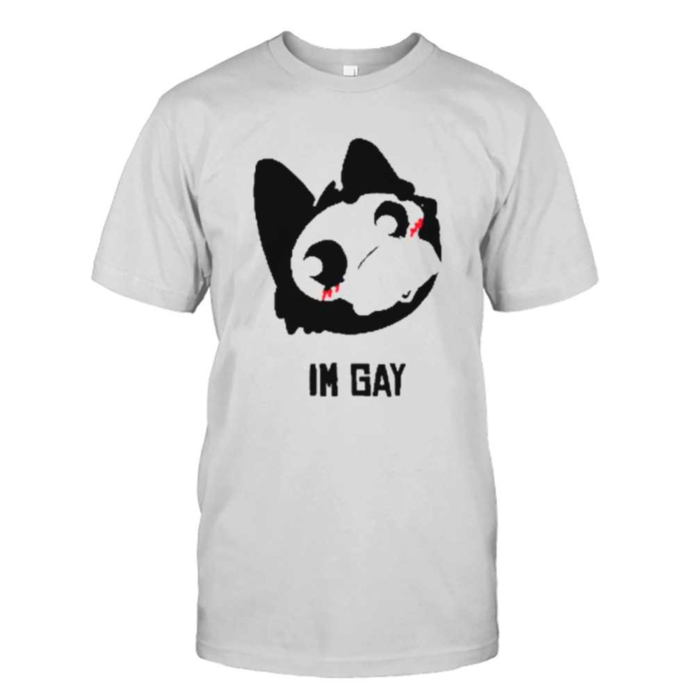 Finn and willow I’m gay shirt