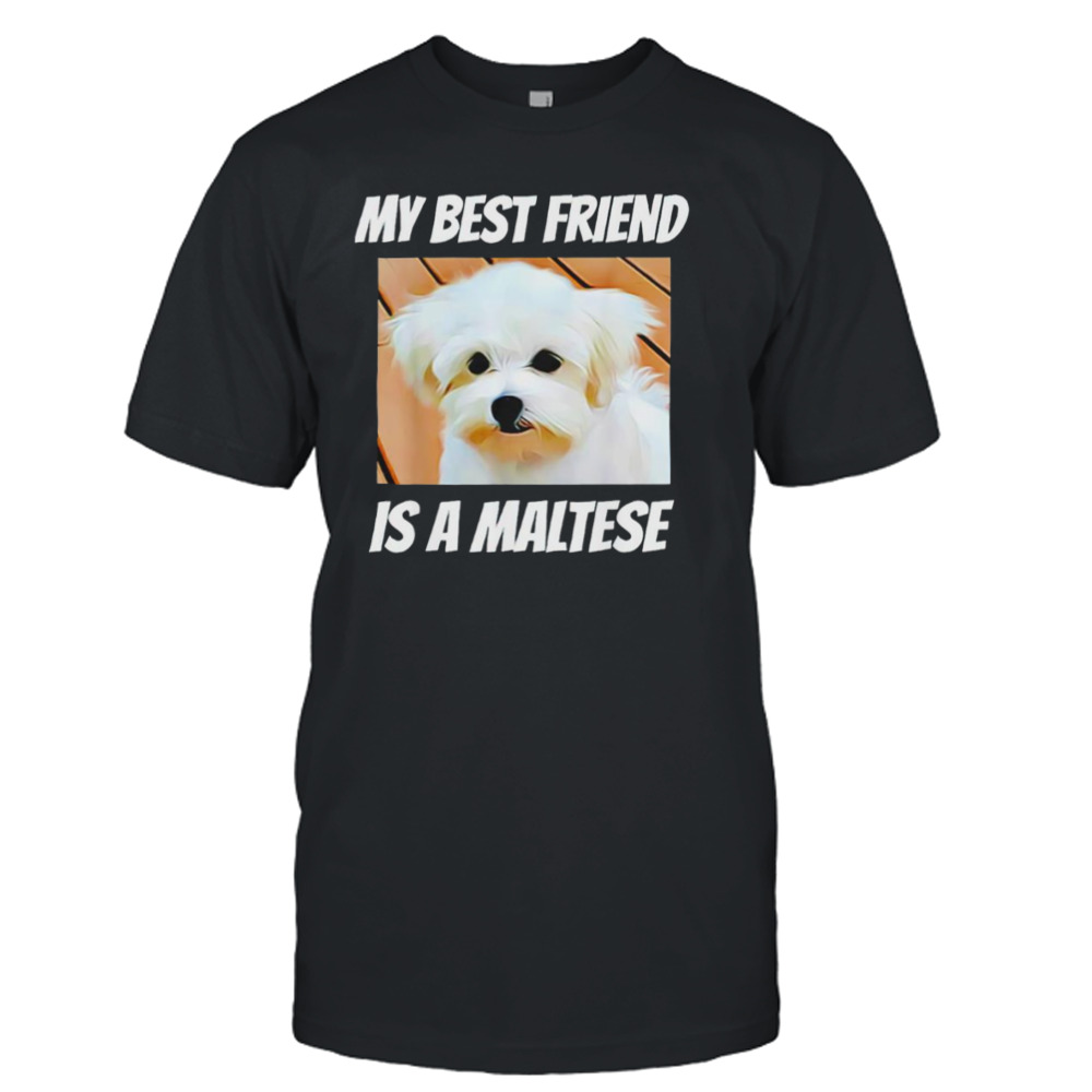 My best friend is a Maltese shirt