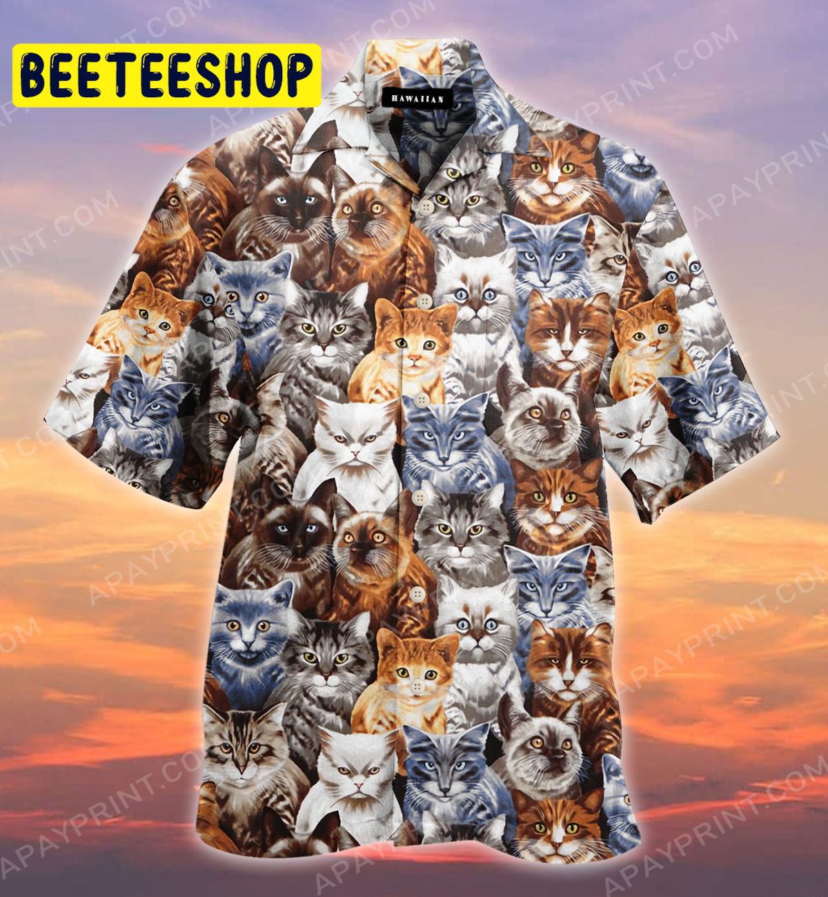 Cats Trending Hawaiian Shirt-1