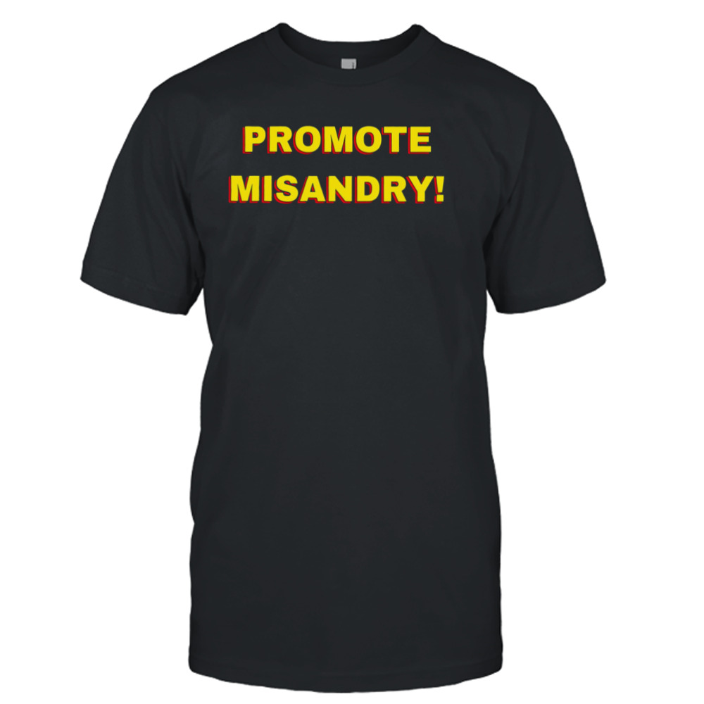 Promote Misandry shirt