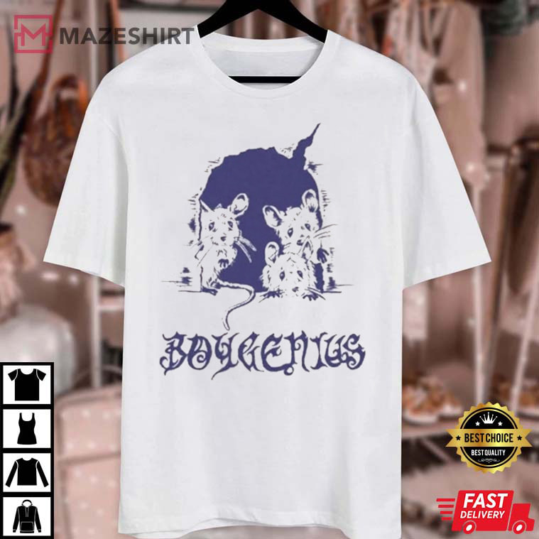 Boygenius Merch Shirt, Indie Rock Music Tour 2023 Merch, Boygenius