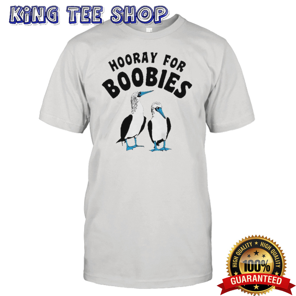 Hooray For Boobies 2024 T-shirt