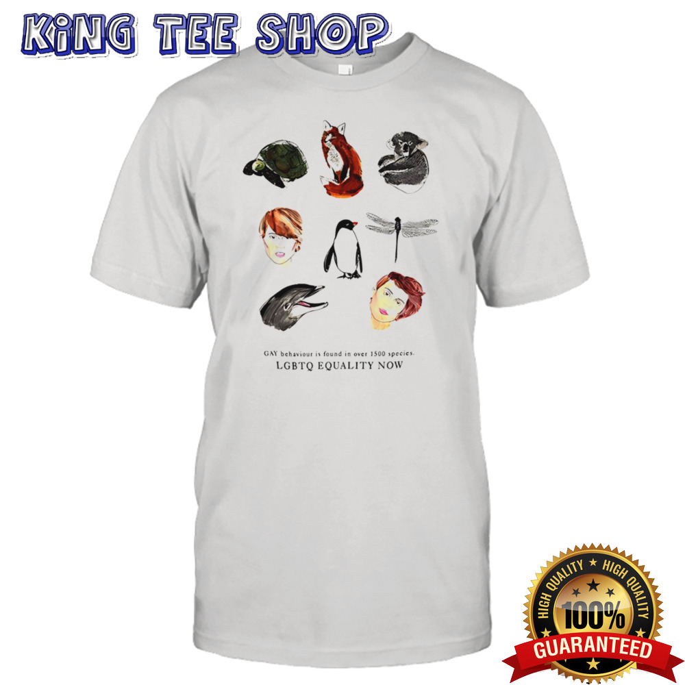 LGBTQ equality now shirt