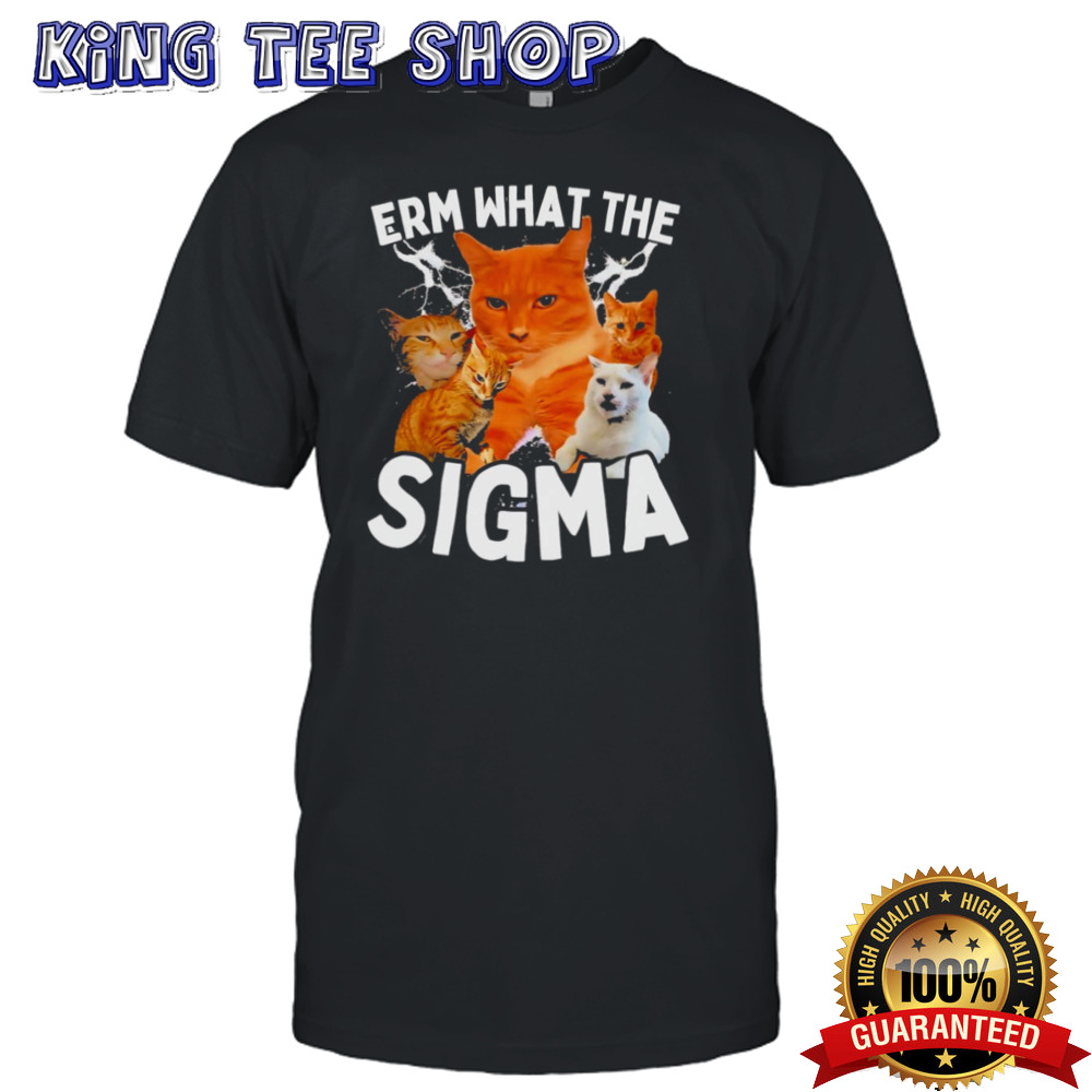 Erm What The Sigma Ironic Meme Brainrot Quote shirt