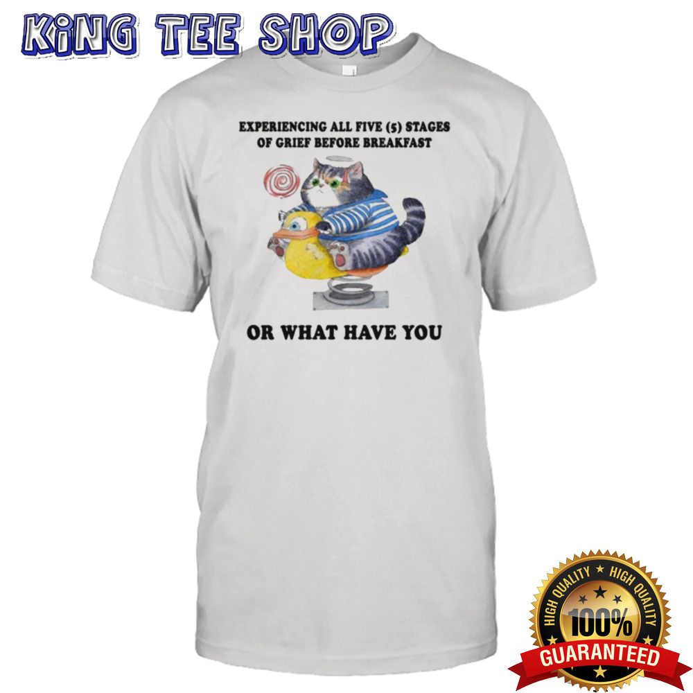 Experiencing All Filve 5 Stages Of Grief Before Breakfast Or What Have You T-shirt