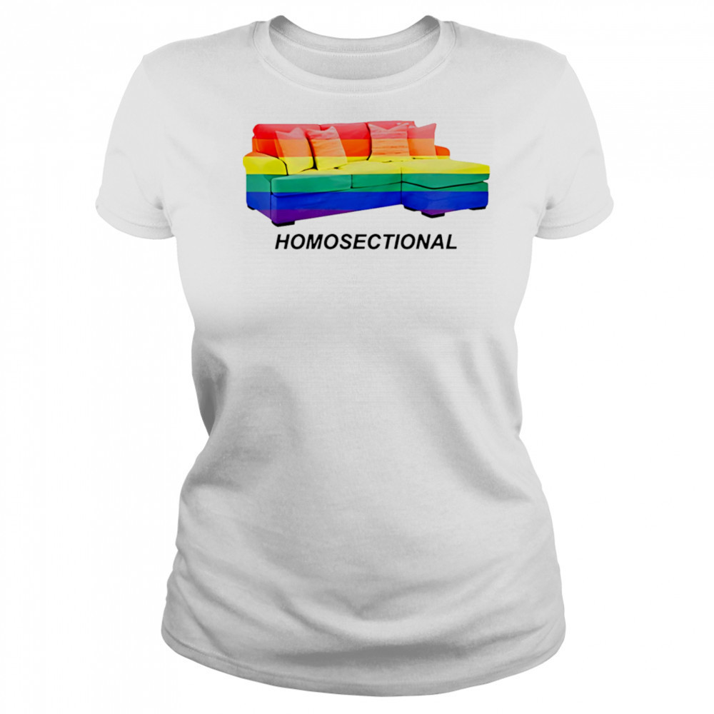 LGBT Homosectional shirt Women's T-shirt