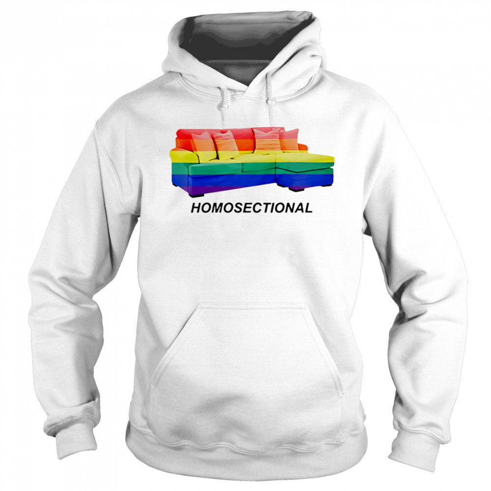 LGBT Homosectional shirt Hoodie