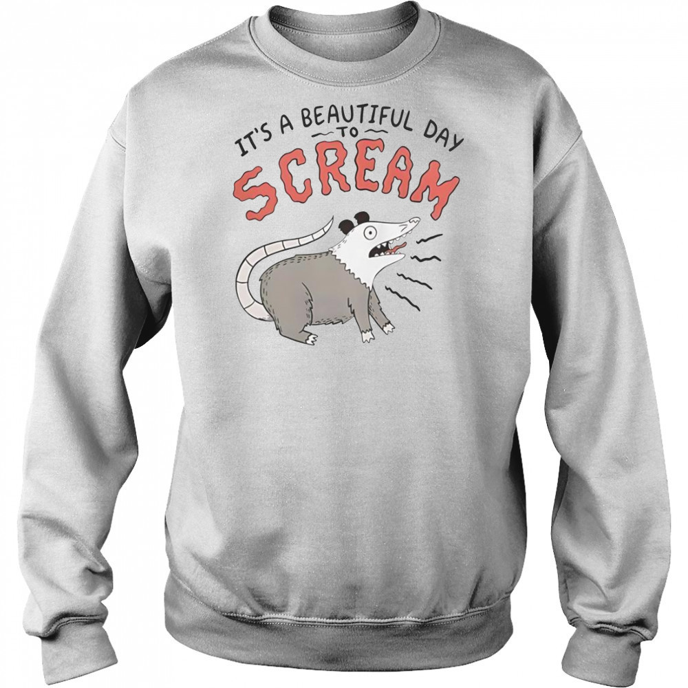 Screaming Possum It’s A Beautiful Day T-Shirt Sweatshirt
