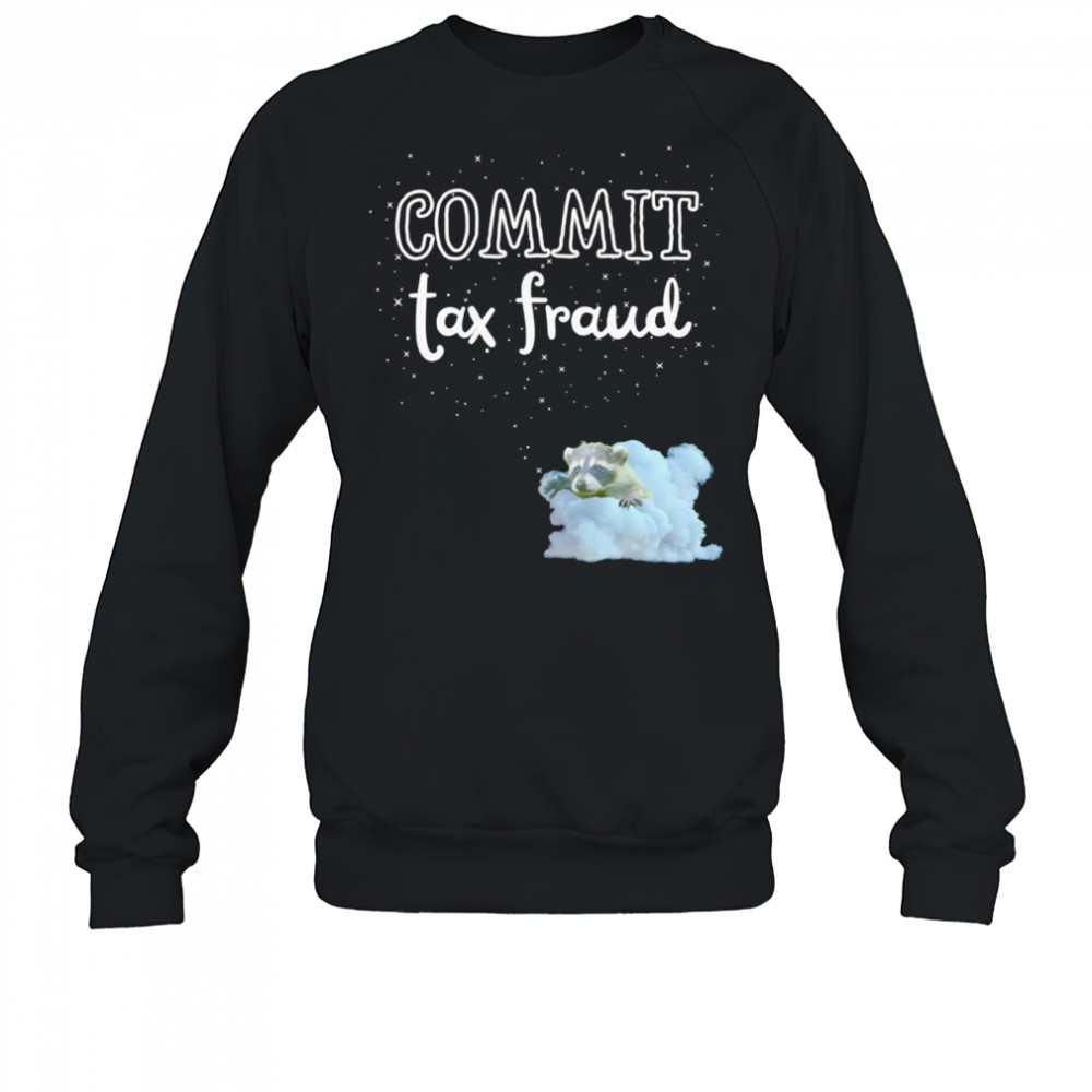 Commit Tax Fraud raccoon shirt Hoodie
