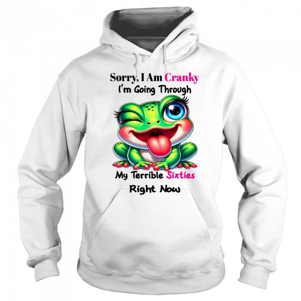 Frog sorry I am cranky I’m going through my terrible shirt Hoodie